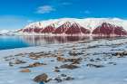 Snow covered rock beaches and mountains rim Bockfjorden-Spitsbergen Island-Svalbard-Norway Art Print